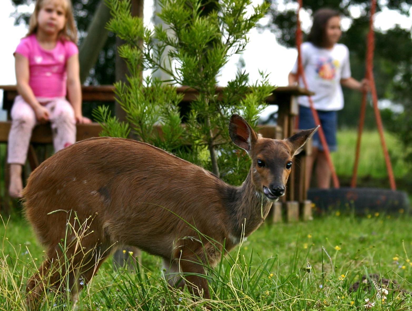 Forest Edge Rheenendal Экстерьер фото